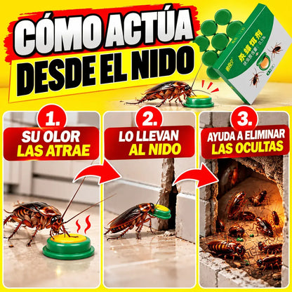 Cebo Matacucarachas en Cápsulas Listo para Usar – Elimina Cucarachas desde el Nido, Bajo Olor, Para Cocina, Baño y Alacenas