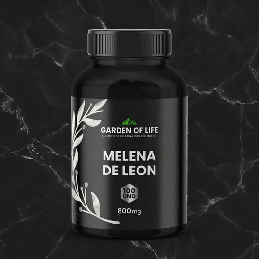 Melena de León Hericium erinaceus en cápsulas, frasco oscuro de 360 cc con termosellado de seguridad. Complemento natural para concentración, memoria y claridad mental.